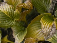 2023 10 24 blatten impressionen