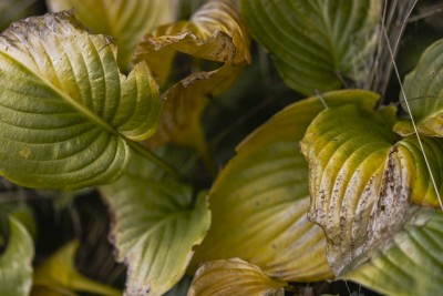 2023 10 24 blatten impressionen