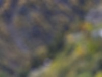 2023 10 24 blatten impressionen