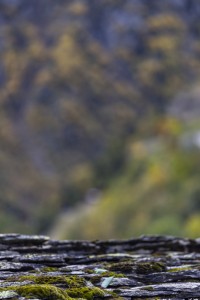 2023 10 24 blatten impressionen