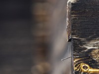 2023 10 24 blatten impressionen