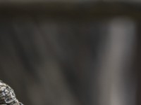 2023 10 24 blatten impressionen