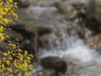 2023 10 24 blatten impressionen