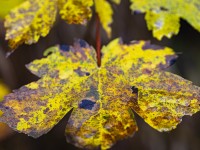 2023 25 blatten impressionen