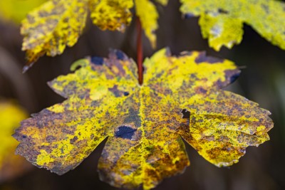 2023 25 blatten impressionen