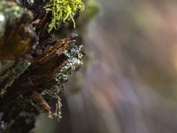 2023 10 25 blatten impressionen