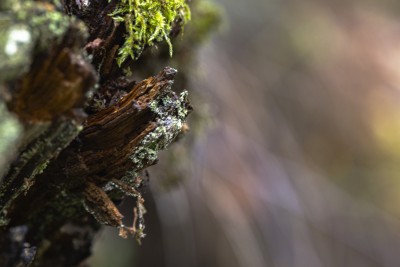 2023 10 25 blatten impressionen