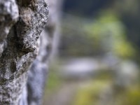 2023 10 25 blatten impressionen