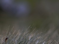 2023 10 25 blatten impressionen