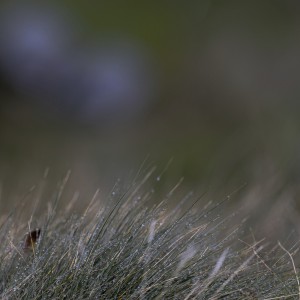 2023 10 25 blatten impressionen