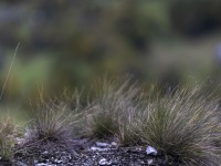 2023 10 25 blatten impressionen