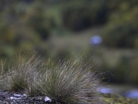 2023 10 25 blatten impressionen