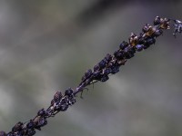 2023 10 25 blatten impressionen