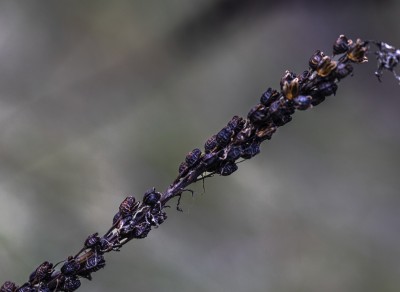 2023 10 25 blatten impressionen