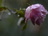 2023 105 blatten impressionen