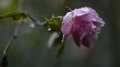 2023 105 blatten impressionen