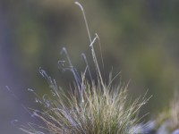 2023 10 25 blatten impressionen