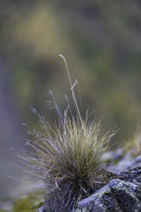 2023 10 25 blatten impressionen