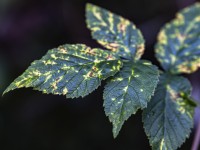 2023 10 25 blatten impressionen