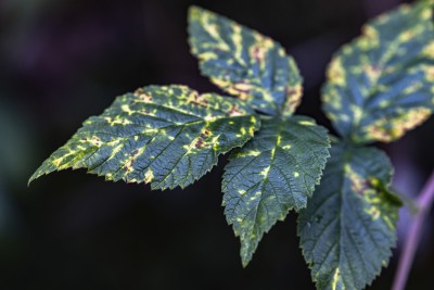 2023 10 25 blatten impressionen