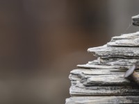 2023 10 25 blatten impressionen