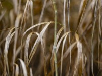 2023 10 25 blatten impressionen