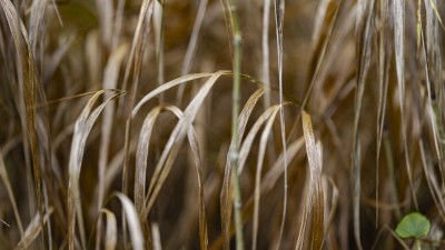 2023 10 25 blatten impressionen