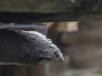 2023 10 30 blatten altes dorf  