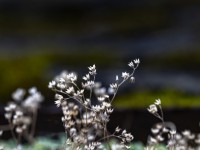 2023 10 30 blatten altes dorf  