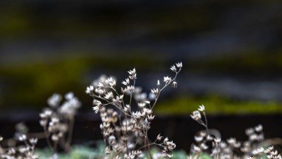 2023 10 30 blatten altes dorf  