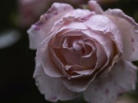 2023 10 30 blatten altes dorf  