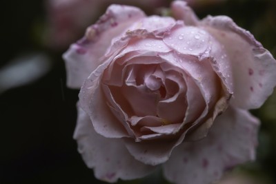 2023 10 30 blatten altes dorf  