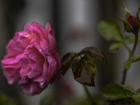 2023 10 30 blatten altes dorf  