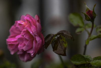 2023 10 30 blatten altes dorf  