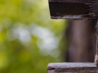 2023 100 blatten altes dorf  