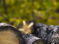 20231 01 blatten herbstimpressionen