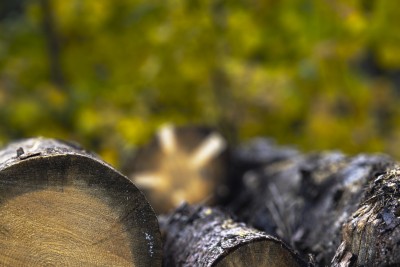 20231 01 blatten herbstimpressionen