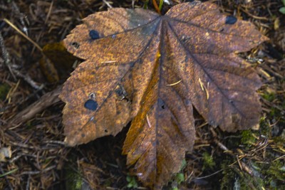2023 11 01 blatten herbstimpressionen