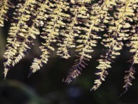 2023 11 01 blatten herbstimpressionen