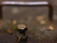 2023 11 01 blatten herbstimpressionen