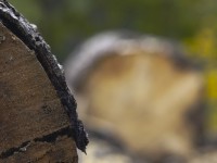 2023 11 01 blatten herbstimpressionen