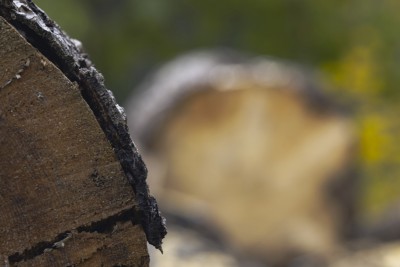 2023 11 01 blatten herbstimpressionen