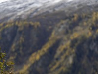 2023 11 01 blatten herbstimpressionen