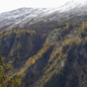 2023 11 01 blatten herbstimpressionen