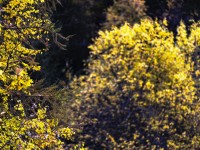 2023 11 01 blatten herbstimpressionen