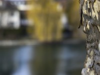 2023 02 06 burgstrasse und aarequai  10 von 