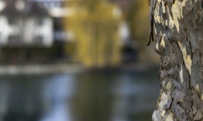 2023 02 06 burgstrasse und aarequai  10 von 