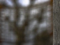 2023 02 06 burgstrasse und aarequai  14 von 