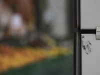 2023 02 08 goettibach und aarestrasse  19 von 