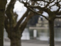 2023 02 08 goettibach und aarestrasse  7 von 